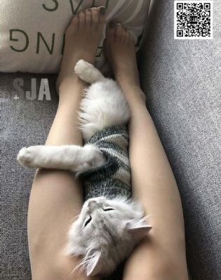 欧美性爱日韩在线专区_超清电影免费在线