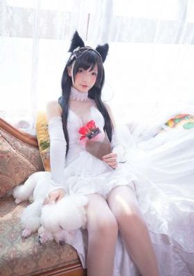亚洲激情美女av_HD在线观看完整版